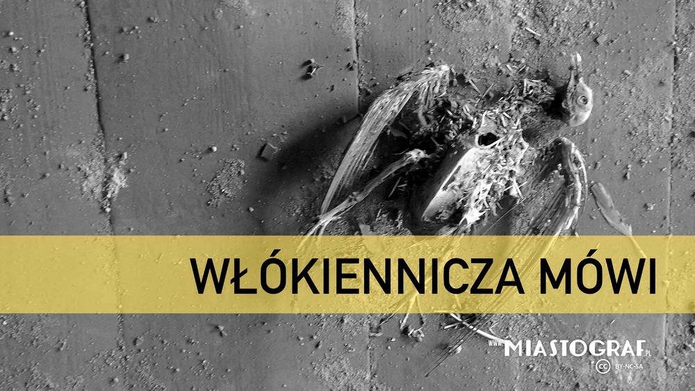 Zdjęcie rozmówcy, włókiennicza mówi